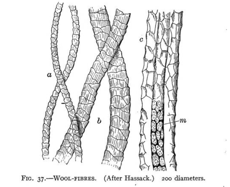 Protein Fibers · GitBook