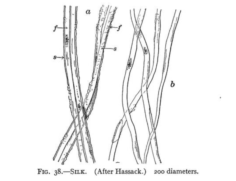 Source: https://archive.org/details/cu31924031496833